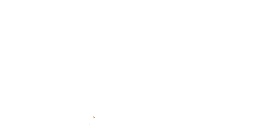 Silva Legal